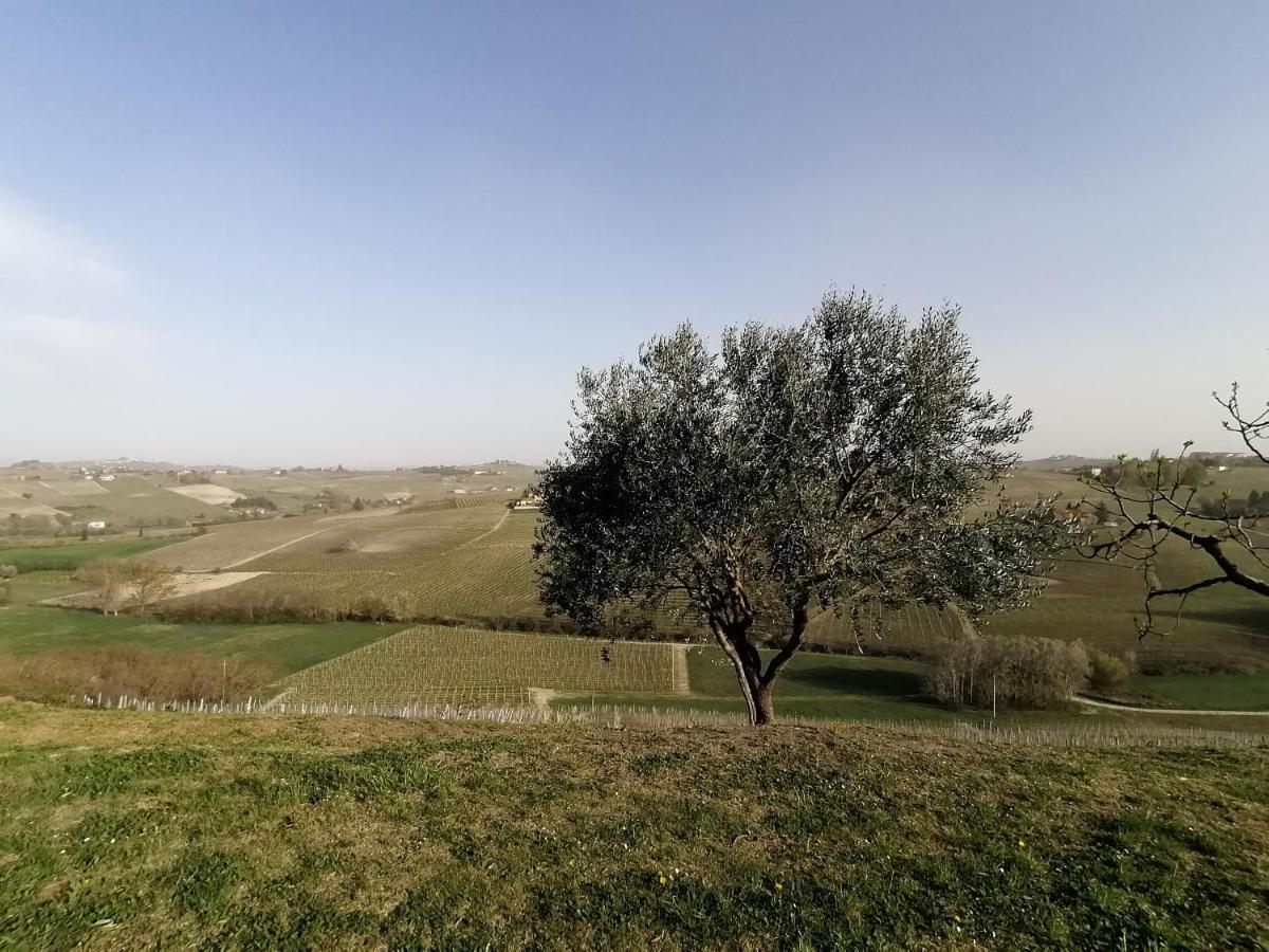 Tenuta Le More Calosso Eksteriør bilde