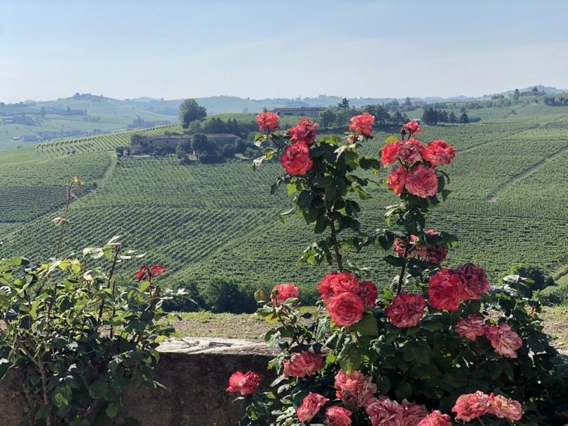 Tenuta Le More Calosso Eksteriør bilde